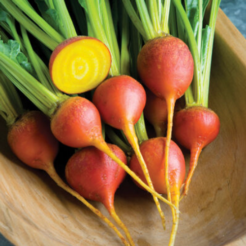 Beets: Golden Organic