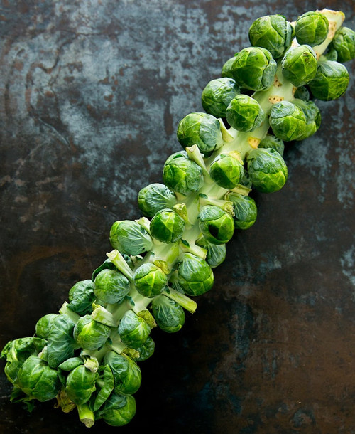 Brussel Sprouts Organic