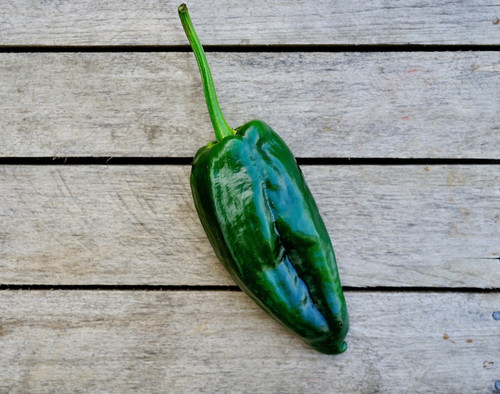 Peppers: Poblano Organic Peppers: Poblano Organic
