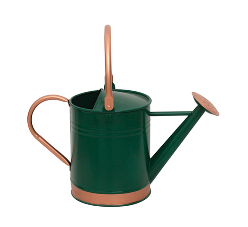 1 gal. Metal Watering Can with Copper