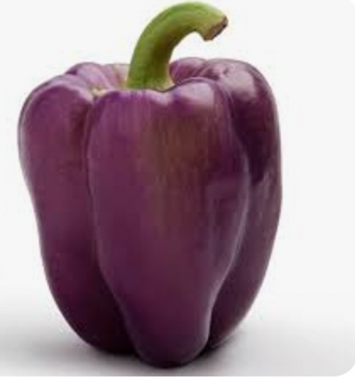 Peppers: Bell Organic