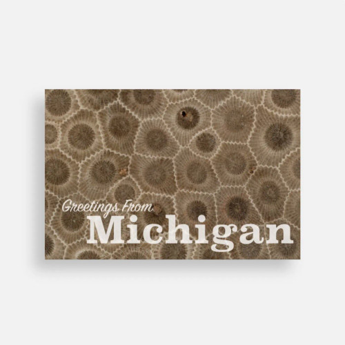 Petoskey Stones Postcard