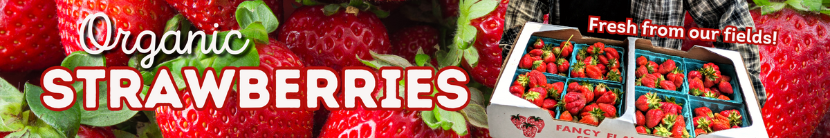 UDSA organic strawberries now at Coveyou Scenic Farm! Sweet, delicious, freshly-picked Michigan strawberries straight from our fields in Petoskey. The perfect start to summer! Pick up a quart today, now at our market!