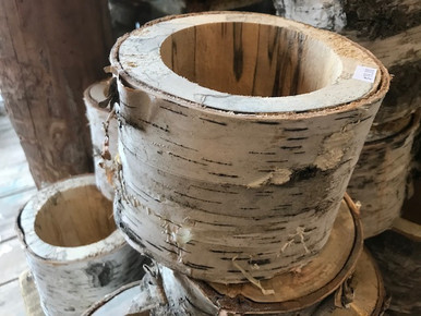 White Birch tubes - Birch Bark Cylinders