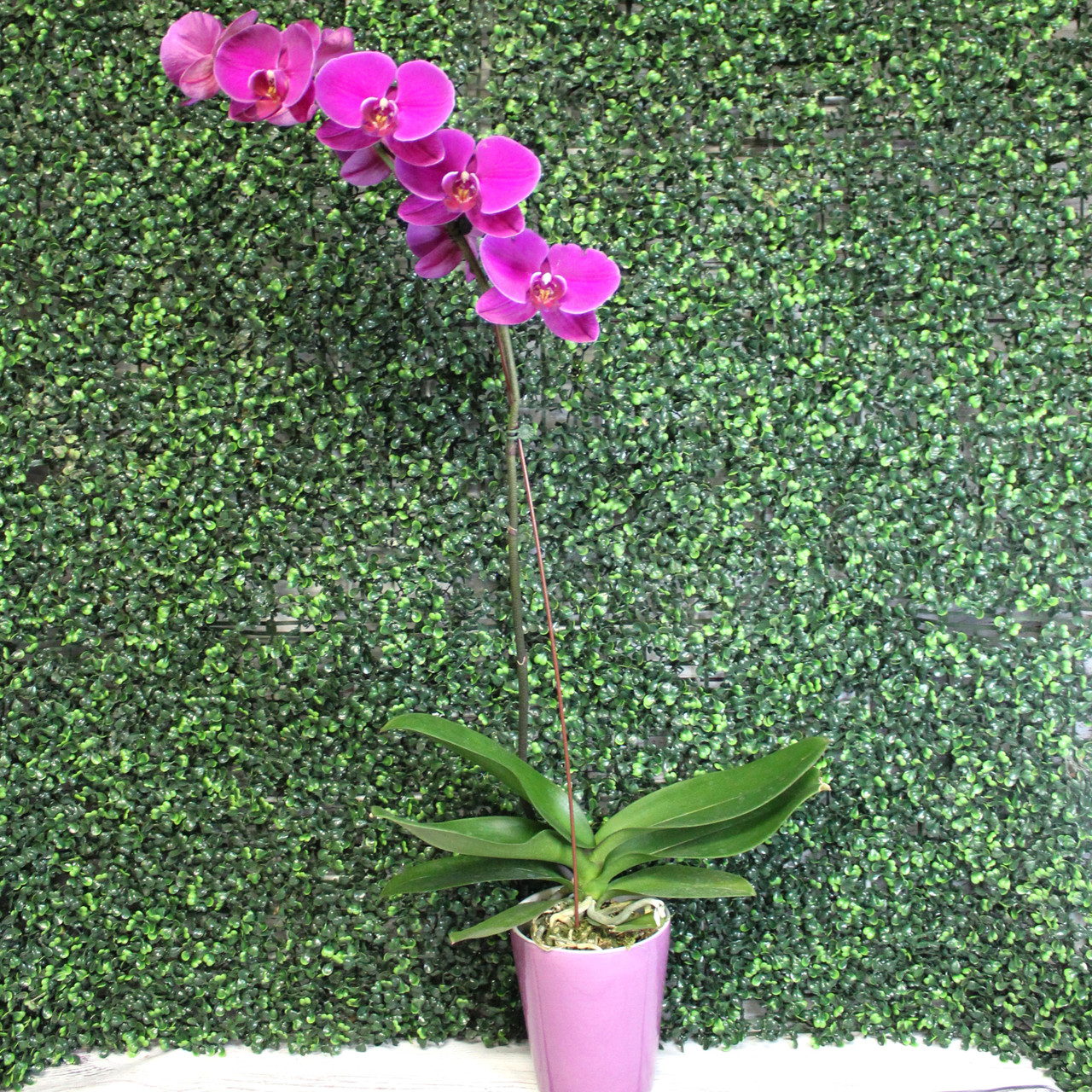 carhartt planters Carhartt WIP Groundworks Planter main image 0