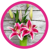 Lilies