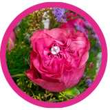 One of a Kind Arrangements