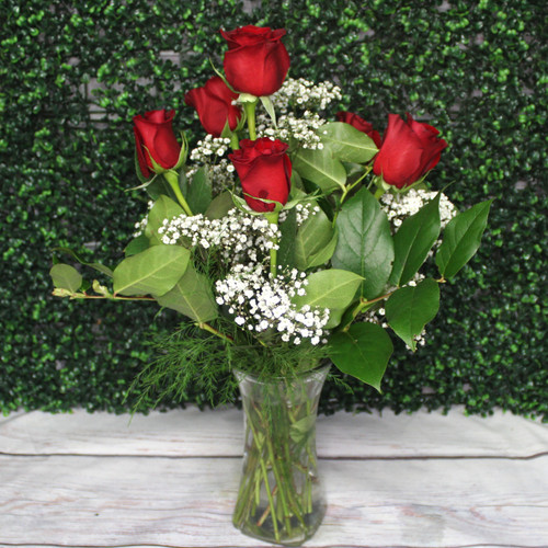 1/2 Dozen Rose Arrangement -Pick Your Color-