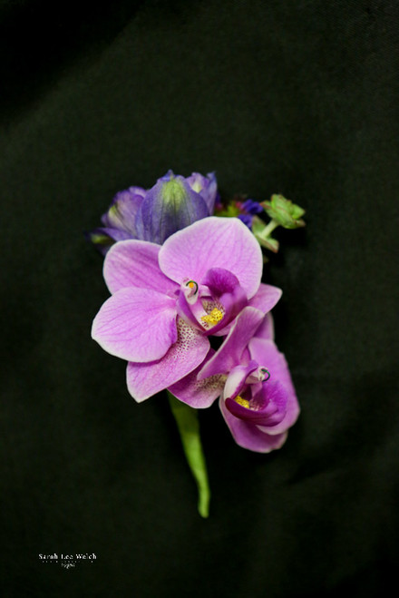 Purple Orchid Boutonniere