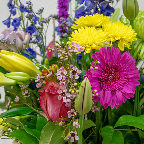 Want something truly unique? Let us design your arrangement! A bold variety of fun, fresh, bright flowers for Mom. She is sure to be surprised with this beautiful fresh and fun bouquet of flowers! Designed with love from your Loveland Florist.