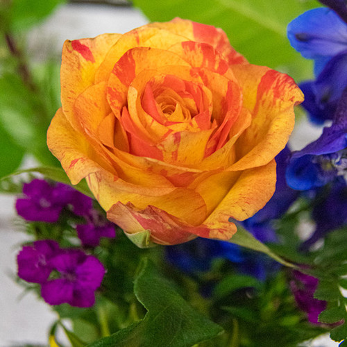 Colorful mixed flower arrangement in a vase, specially created for your occasion by our designers.