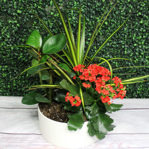Bright Blooming Ceramic Planter