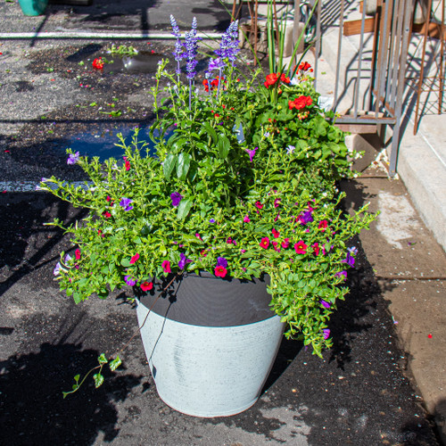 Giant Mixed Planter