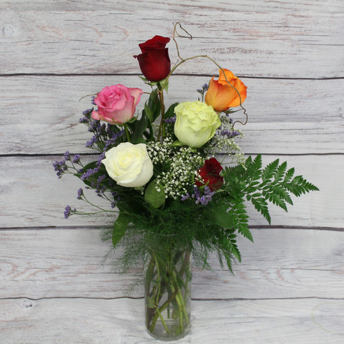 Contemporary Half Dozen Mixed Color Roses