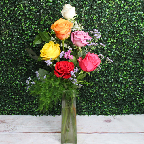 Contemporary Half Dozen Mixed Color Roses