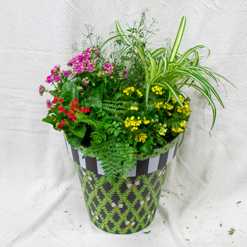 Large Art Pot Planter With Mixed Plants