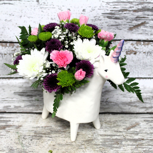 Unicorn Arrangement