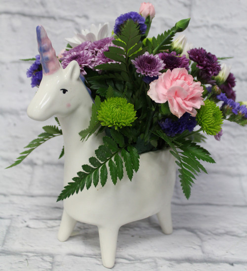 Unicorn Arrangement