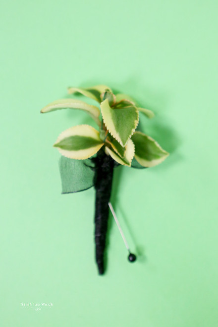 Succulent Boutonniere