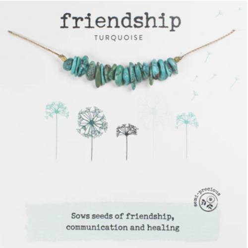Friendship - Turquoise | Seed Necklace 