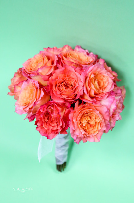 Obsessed with these free spirit roses.
