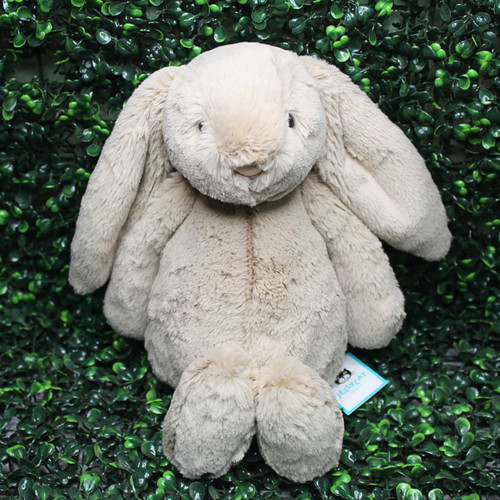 Bashful Beige Bunny