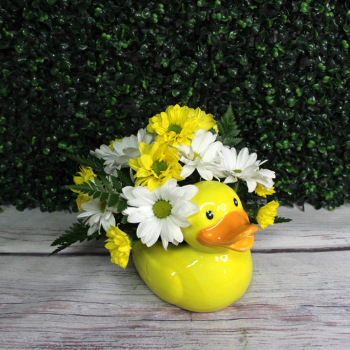 White and yellow daisies arranged in a ceramic duck