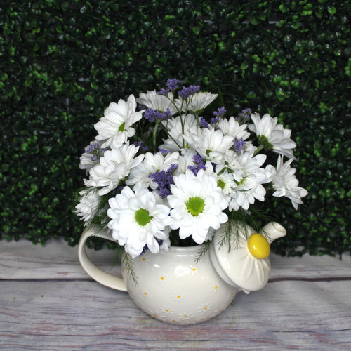 Bright Daisy Tea Pot Arrangement