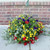 Amazing Hanging Baskets