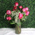 Traditional Rose Arrangement -Pick your Color-