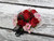 Red & Pink Corsage