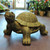 Small Garden Turtle