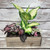 Wooden Green Planter