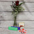 Single Rose and Goodies Bundle
