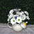 Bright Daisy Tea Pot Arrangement