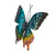 Sunset Moth Single