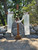 White & Wine Cross Spray