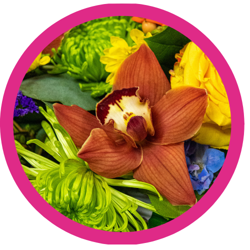 Fresh Flower Arrangements | Loveland, CO Flower Delivery | Earle's Flowers