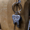 Smiling Tooth Keychain