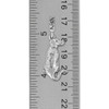 Sterling Silver Rhodesian Ridgeback European Style Charm