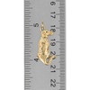 14K Solid Gold Rhodesian Ridgeback Charm