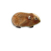 Enamel Brown Guinea Pig Pin