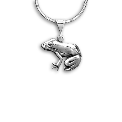 Silver Frog Necklace | Lily Charmed