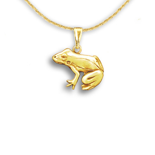 3D Porcelain Panamanian Golden Frog Shaped Ceramic Pendant Necklace – DOTOLY