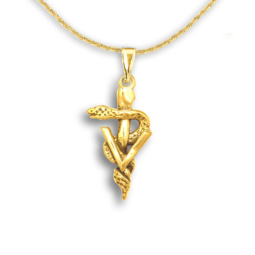 gold vet caduceus pendant 4 66468.1595019386