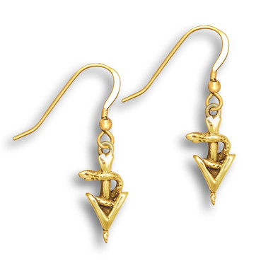 14K Solid Gold Small Veterinary Caduceus Earrings - Veterinary Jewelry ...