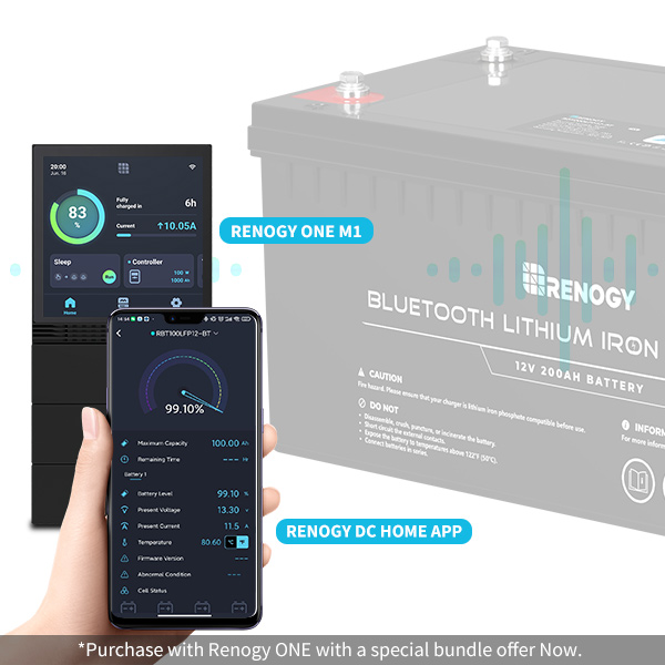 intelligent Li battery with bluetooth