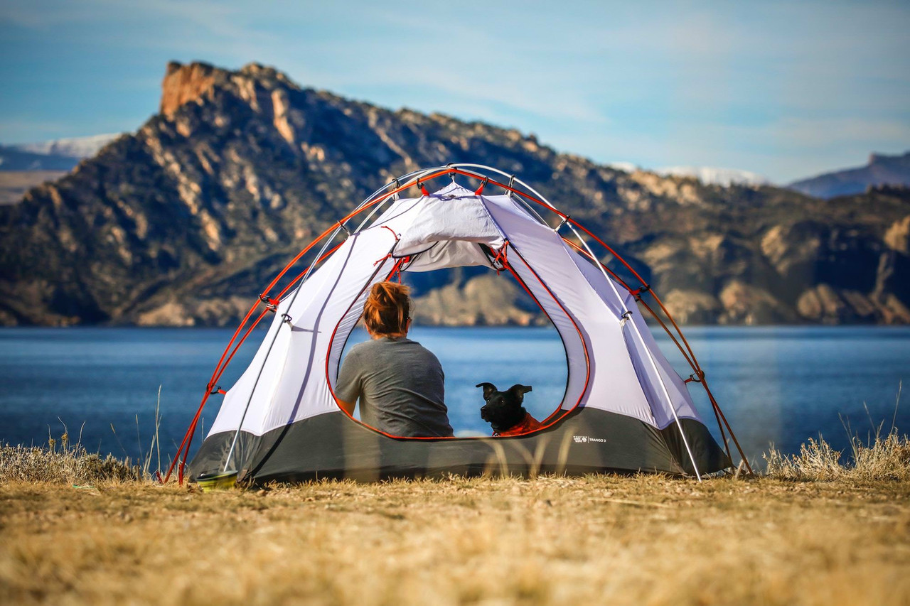 Here's Why You Should Consider Camping Solar Panels