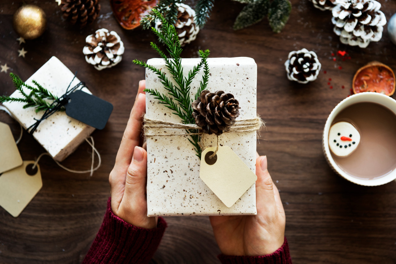 Save Big: Renogy Holiday Deals