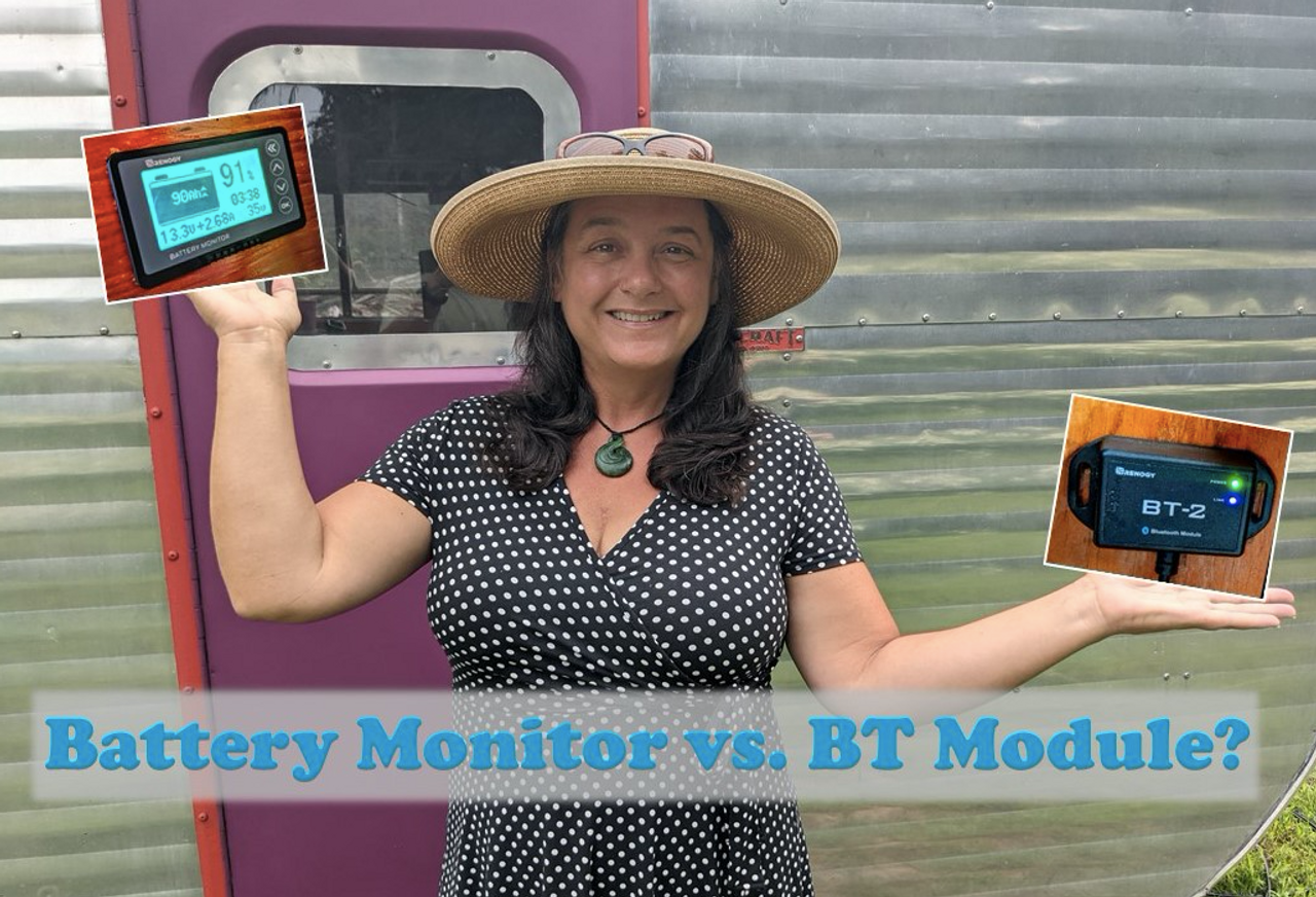 BT Module vs Battery Monitor: Watts Best for Your Solar Powered System? - Renogy  United States